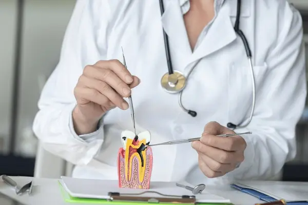 root canal therapy in hamilton on