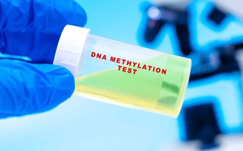 epigenetic age testing in south core toronto