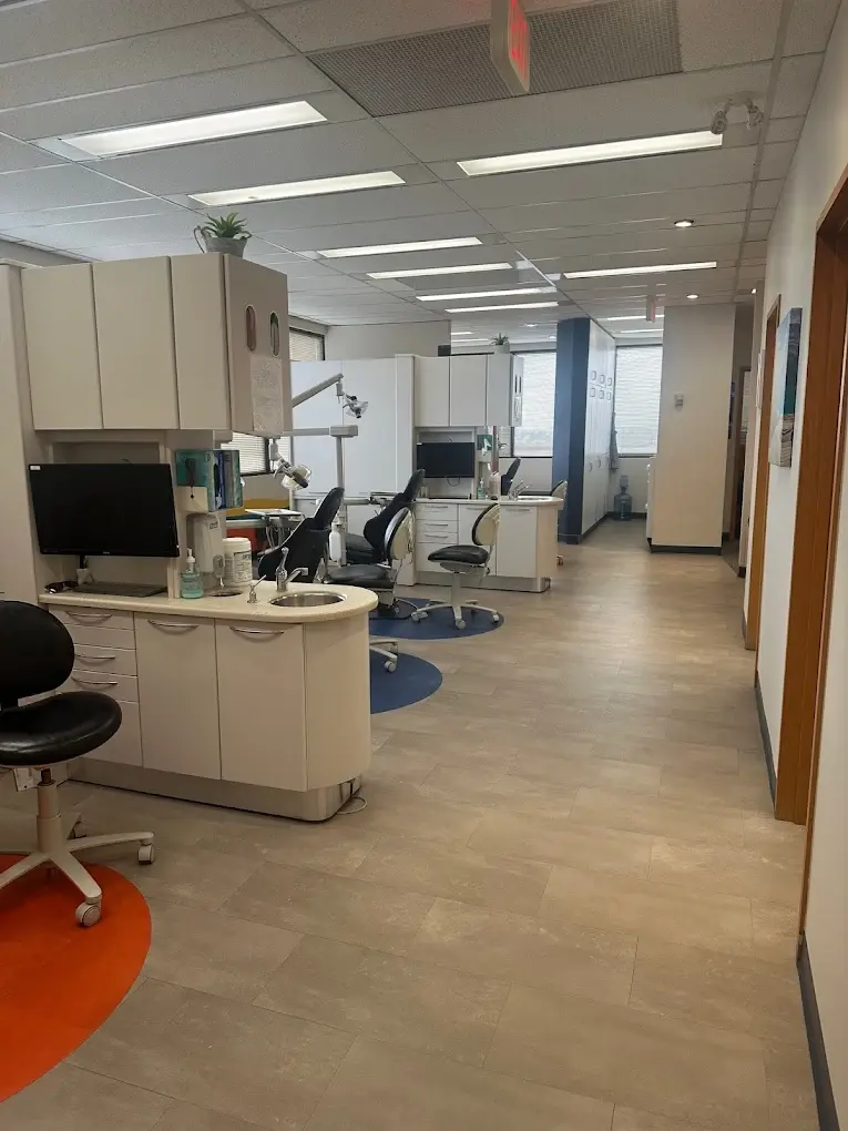 gallery ortho 2